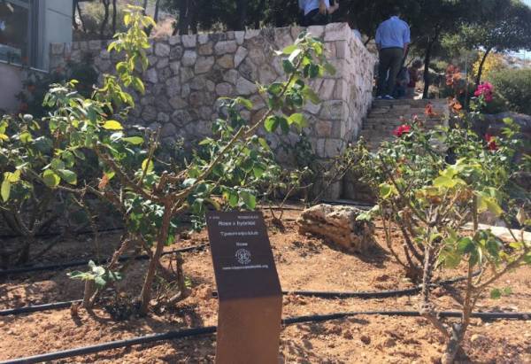 Symbeeosis:Νέο μοντέλο βιώσιμης κατανάλωσης στο νέο εγχείρημα της οικογένειας Κουτσιανά