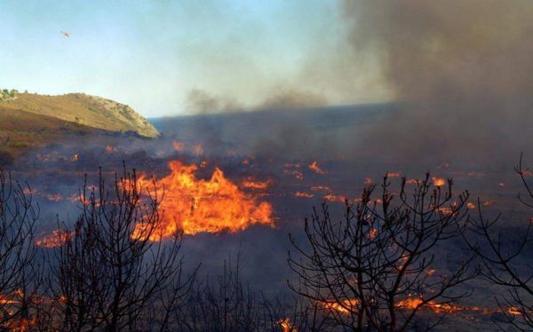 Μάχη δίνει η πυροσβεστική να ελέγξει πυρκαγιά στο Στόμιο Ιεράπετρας