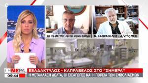 Εξαδάκτυλος-Καπραβέλος: Εξηγούν τι είναι το long covid σύνδρομο