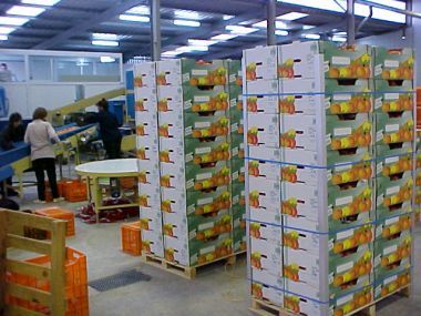 Ελληνικές εξαγωγές: Ξαναγράφεται ο χάρτης του εξωστρεφούς κλάδου