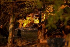 Αχαΐα: Συνεχίζεται η μάχη με τις φλόγες-16 τραυματίες-Εκκενώθηκαν 4 χωριά
