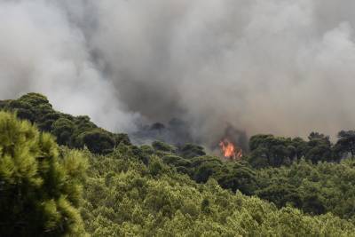 Μέγαρα: Πυρκαγιά σε δασική έκταση