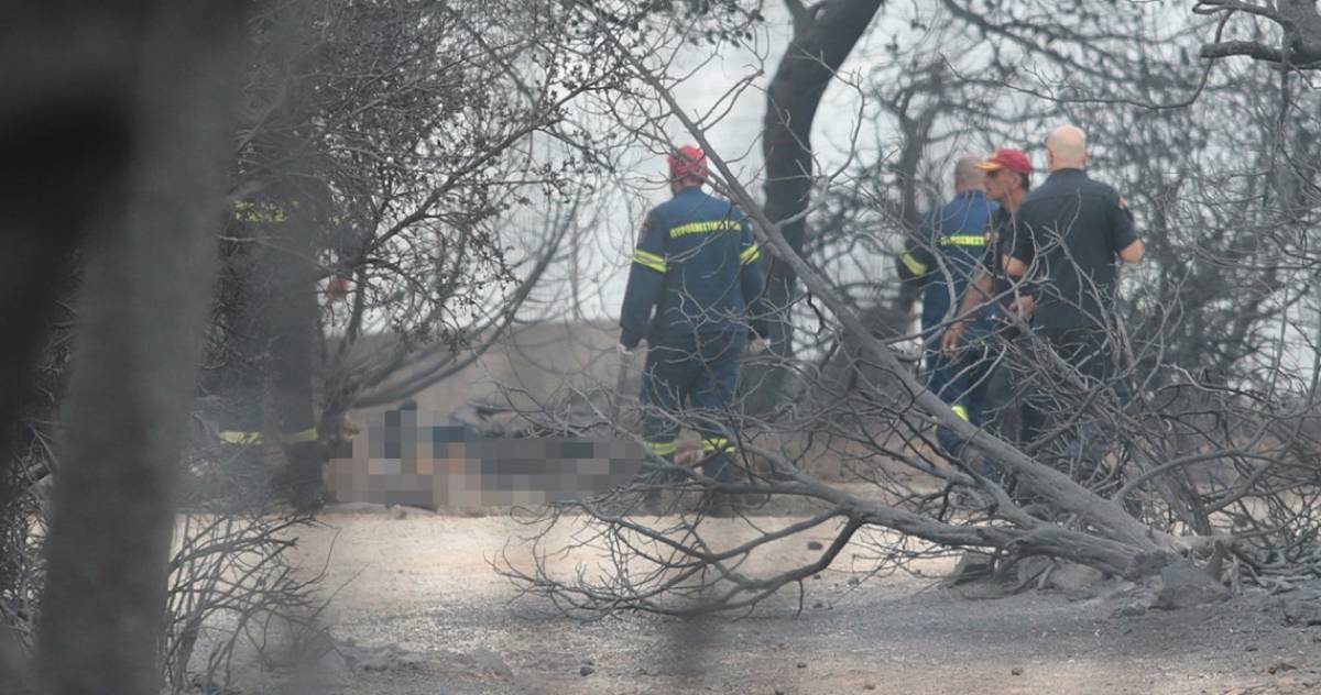 Οικονομική στήριξη των πυρόπληκτων από τους δήμους Τιράνων και Σκοπίων