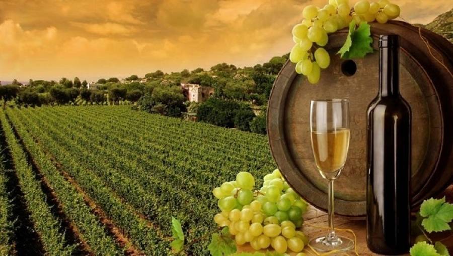 Αύξηση ρεκόρ στην παραγωγή οίνου-Προβληματισμός για τη διάθεση αποθεμάτων