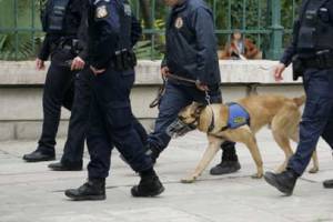 Εξαρθρώθηκε σπείρα διακίνησης ναρκωτικών σε Αττική και νησιά