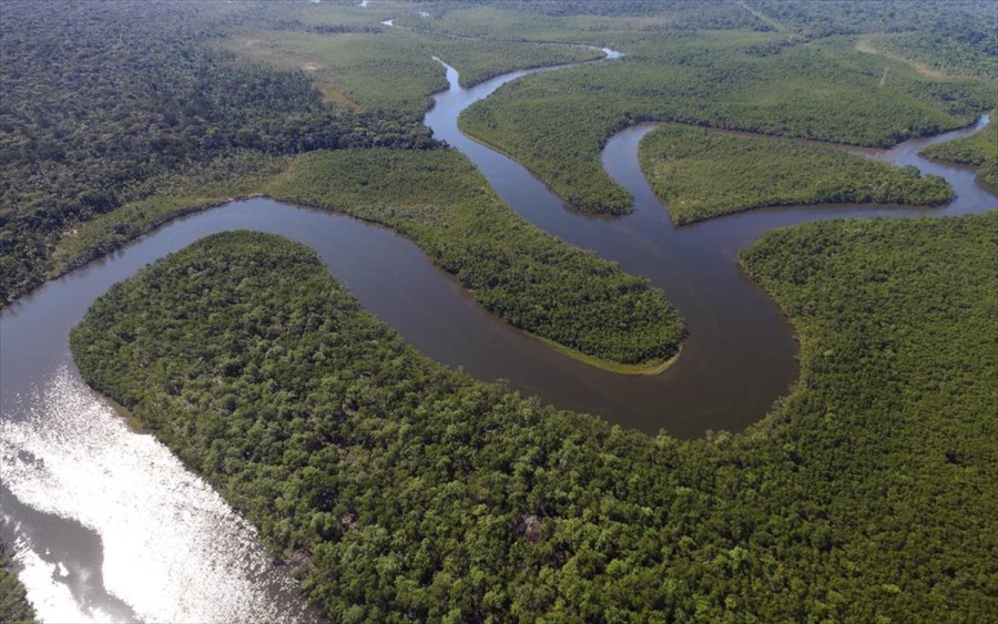 Η αποψίλωση της περιοχής του Αμαζονίου συνεχίζεται