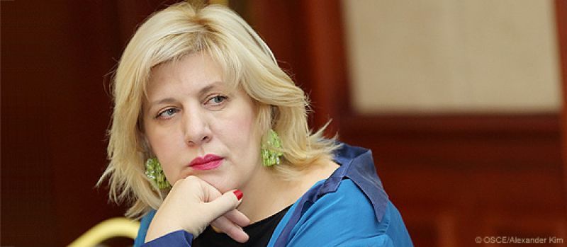 Μία «ειδικός» στα ΜΜΕ Επίτροπος Ανθρωπίνων Δικαιωμάτων του Συμβουλίου Ευρώπης
