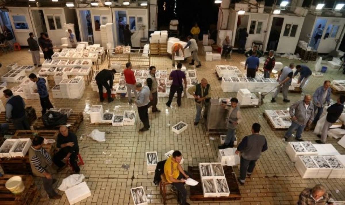 Δεσμεύτηκαν 93 κιλά ακατάλληλα ψάρια στην ιχθυόσκαλα Κερατσινίου