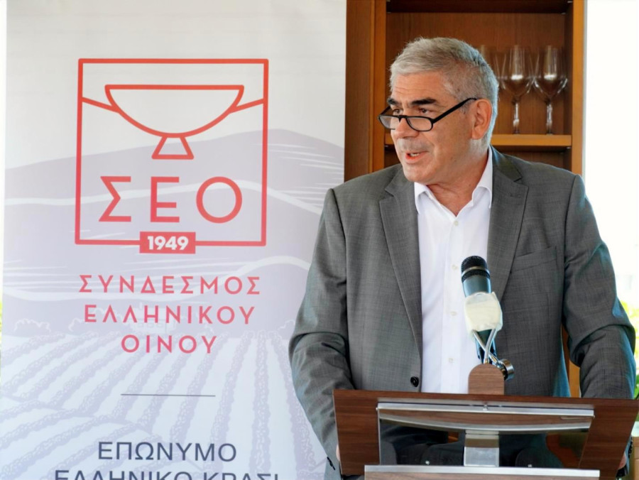 Ελληνικός Οίνος: Κλίμα και νέες συνήθειες φέρνουν τα «πάνω - κάτω» σε παραγωγή και κατανάλωση