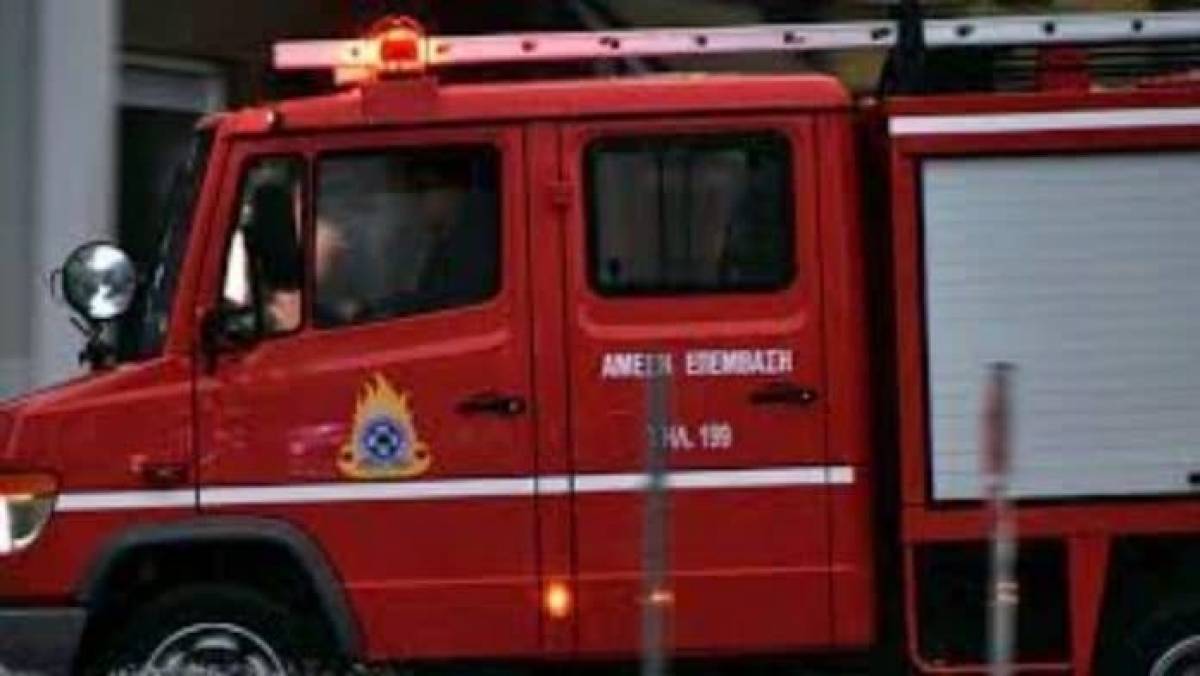 Χαλκιδική: Επιβολή προστίμων για κίνδυνο πρόκλησης πυρκαγιάς