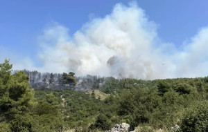 Μεγάλη φωτιά μεταξύ Μαρκοπούλου Ωρωπού και Καλάμου- Κλειστοί δρόμοι