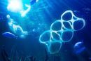 SOS επιστημόνων για τους τόνους πλαστικών που φτάνουν στη θάλασσα
