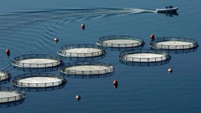 Αποζημιώσεις σε αλιεία και υδατοκαλλιέργεια: Η προθεσμία για τις αιτήσεις