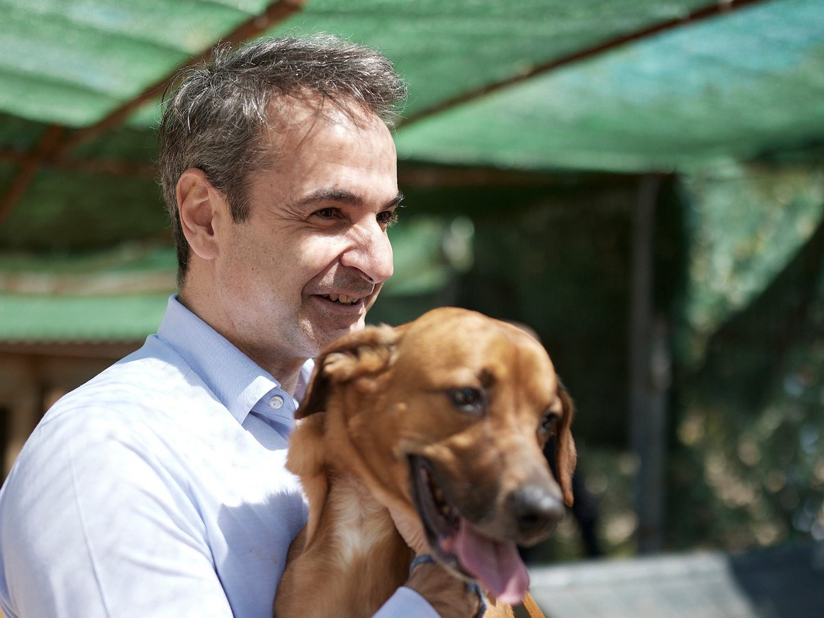 Το μήνυμα του Μητσοτάκη για την Παγκόσμια Ημέρα Αδέσποτων Ζώων