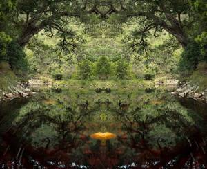 Wisdom and Nature: Ενα καλλιτεχνικό project για τη σωτηρία του Πλανήτη