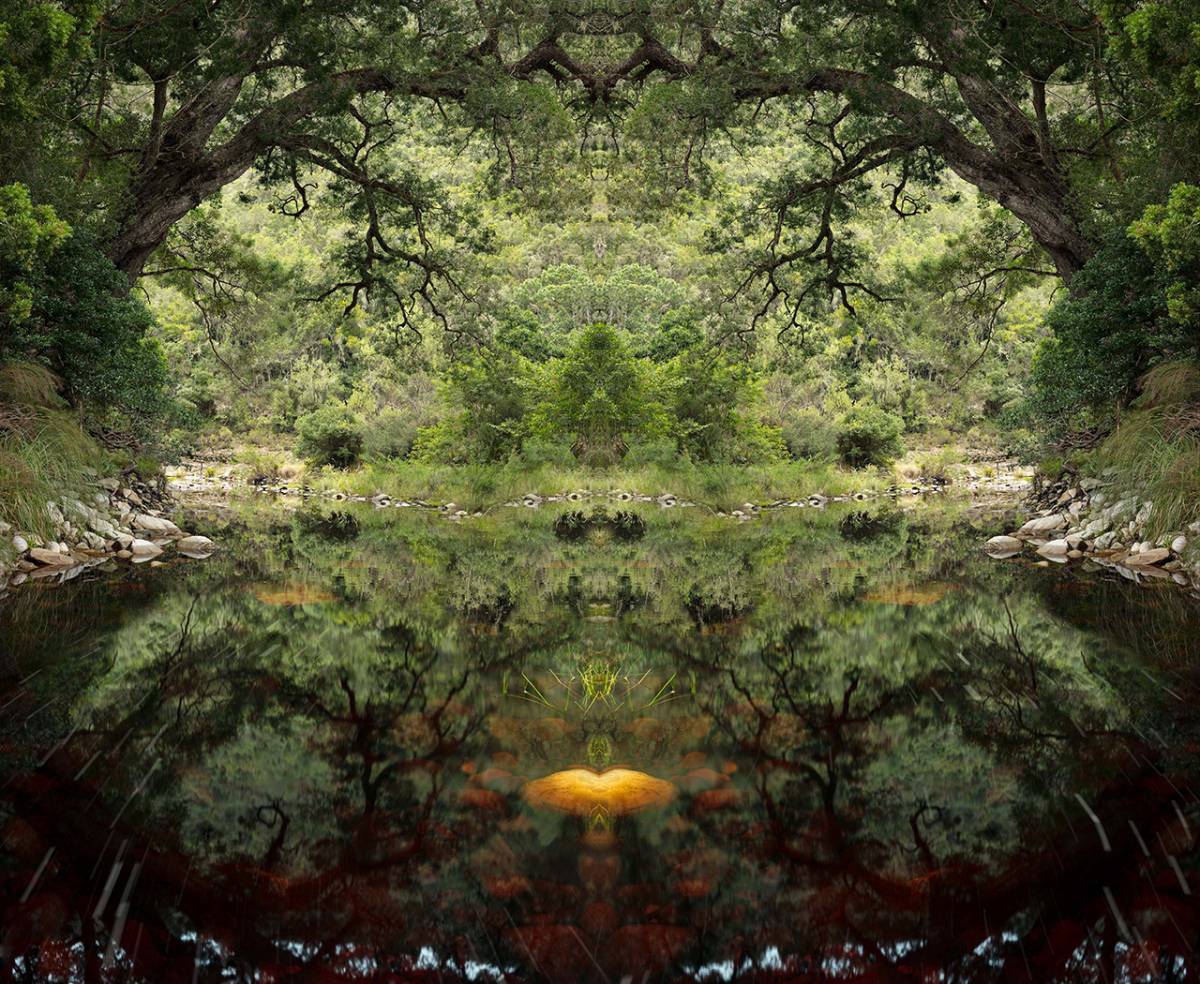 Wisdom and Nature: Ενα καλλιτεχνικό project για τη σωτηρία του Πλανήτη