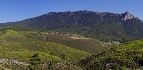 Στα Γεράνεια Όρη η πρώτη πιλοτική αναδάσωση στη χώρα με drone