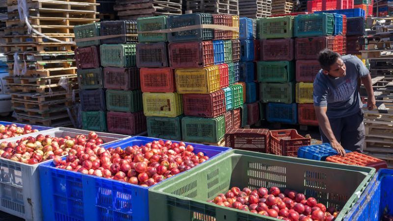 Εκτός Ρωσίας τα φρέσκα ελληνικά προϊόντα λέει η INCOFRUIT-HELLAS