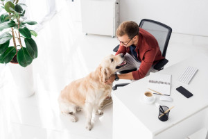 Dog-Friendly Γραφεία: Το προνόμιο που κάνει το 55% των εργαζομένων να αλλάξει δουλειά