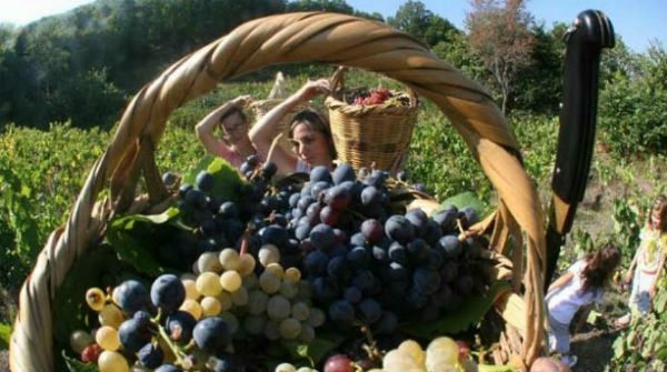 Το κρητικό κρασί «φτιάχνει βαλίτσες» για ΗΠΑ