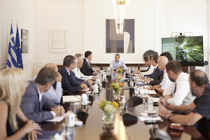Άμεσα αναδασωτέες οι καμένες περιοχές-Ενεργοποιείται ο θεσμός των «αναδόχων αποκατάστασης»