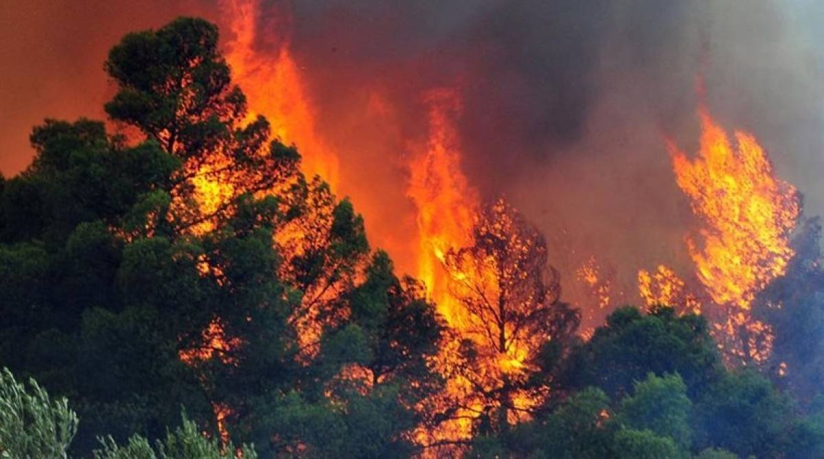 Φωτιά στο Πλωμάρι Μυτιλήνης