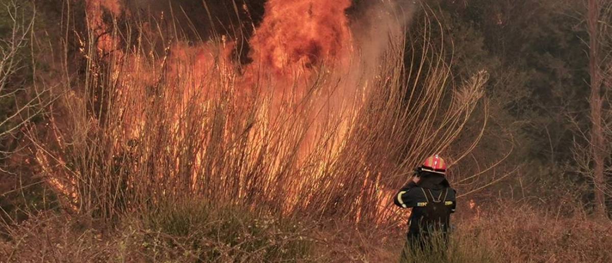 Φωτιά στη Σάμο: Μαίνεται η μάχη με τις φλόγες