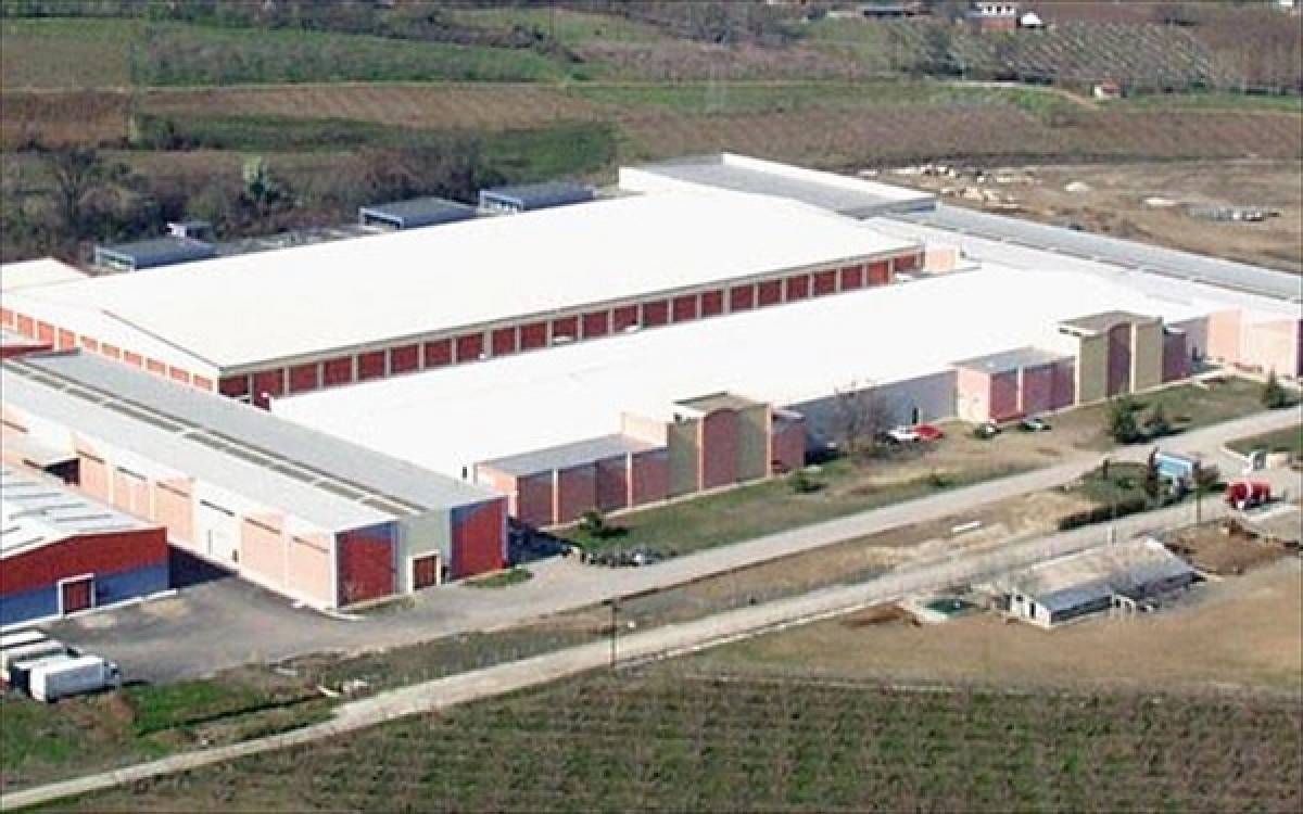 Βαρβαρέσος: Μείωση τζίρου στο εννεάμηνο 2020