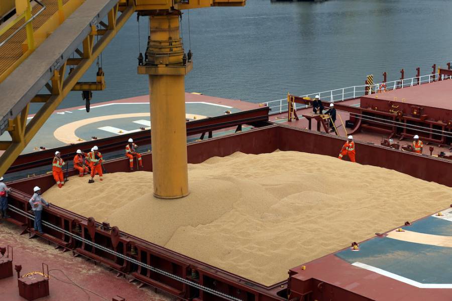 Οι εισαγωγές σόγιας της Κίνας από τη Βραζιλία σε μείωση