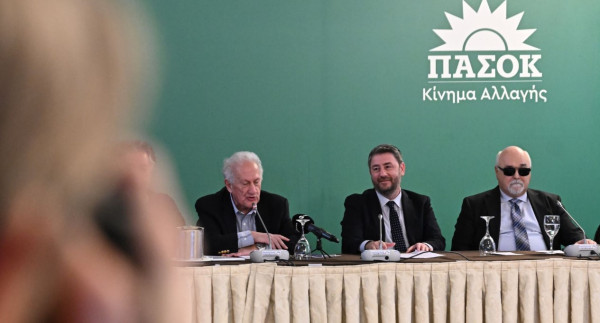 Ανδρουλάκης στην Επιτροπή Διεύρυνσης: Όλοι μαζί θα δώσουμε τον αγώνα της πολιτικής αλλαγής