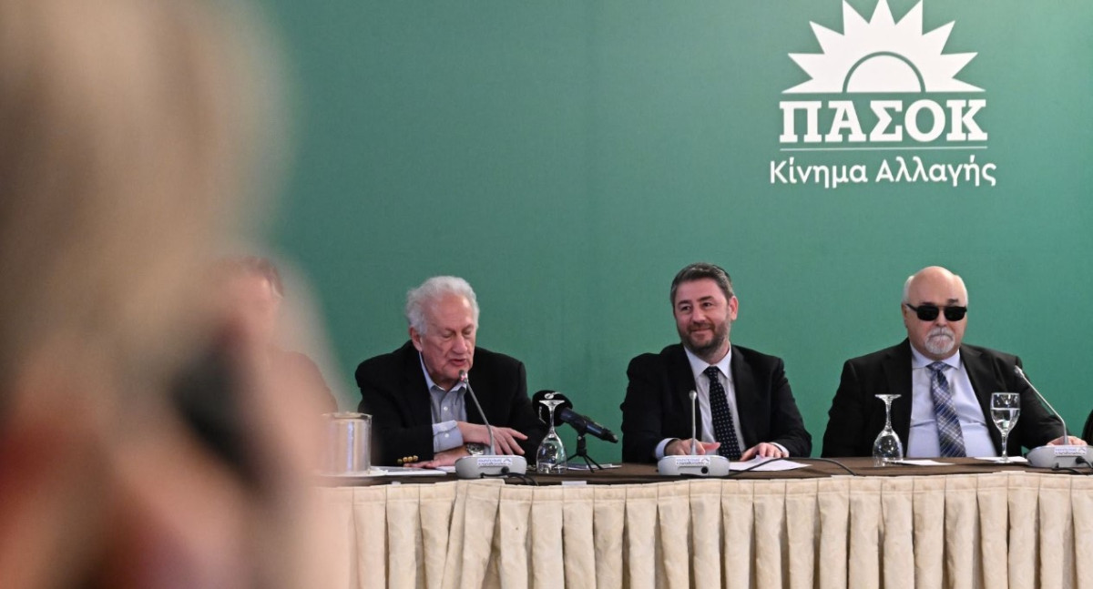 Ανδρουλάκης στην Επιτροπή Διεύρυνσης: Όλοι μαζί θα δώσουμε τον αγώνα της πολιτικής αλλαγής