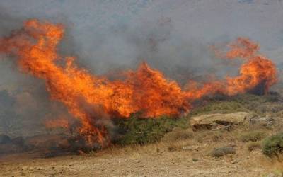 Αγροτοδασική πυρκαγιά σε περιοχή της Κοζάνης