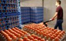 Περισσότερα από 28 εκατ. μολυσμένα αυγά έχουν εισαχθεί στη Γερμανία