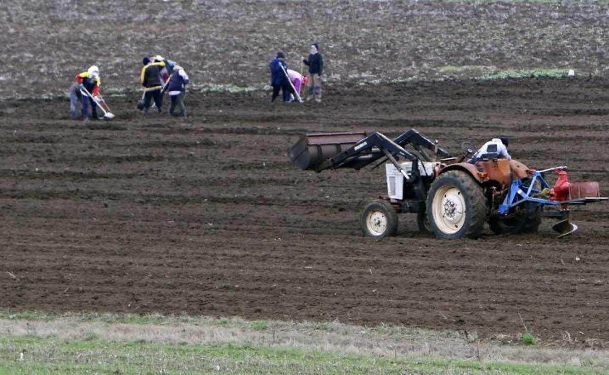 Από σήμερα οι αιτήσεις για τα ΔΙΕΚ του ΕΛΓΟ-ΔΗΜΗΤΡΑ