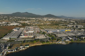 Trade Estates: Τι ισχύει με την ενδεχόμενη σταθεροποίηση των μετοχών