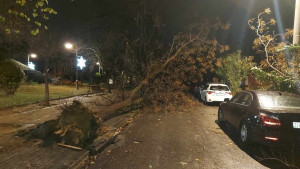 Μπουρίνι στην Αττική- Πάνω από 300 κλήσεις στην Πυροσβεστική