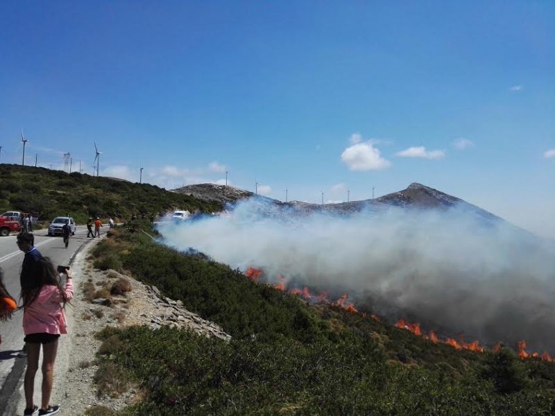 Πυρκαγιά στην Κάρυστο - Καίγονται σπίτια!