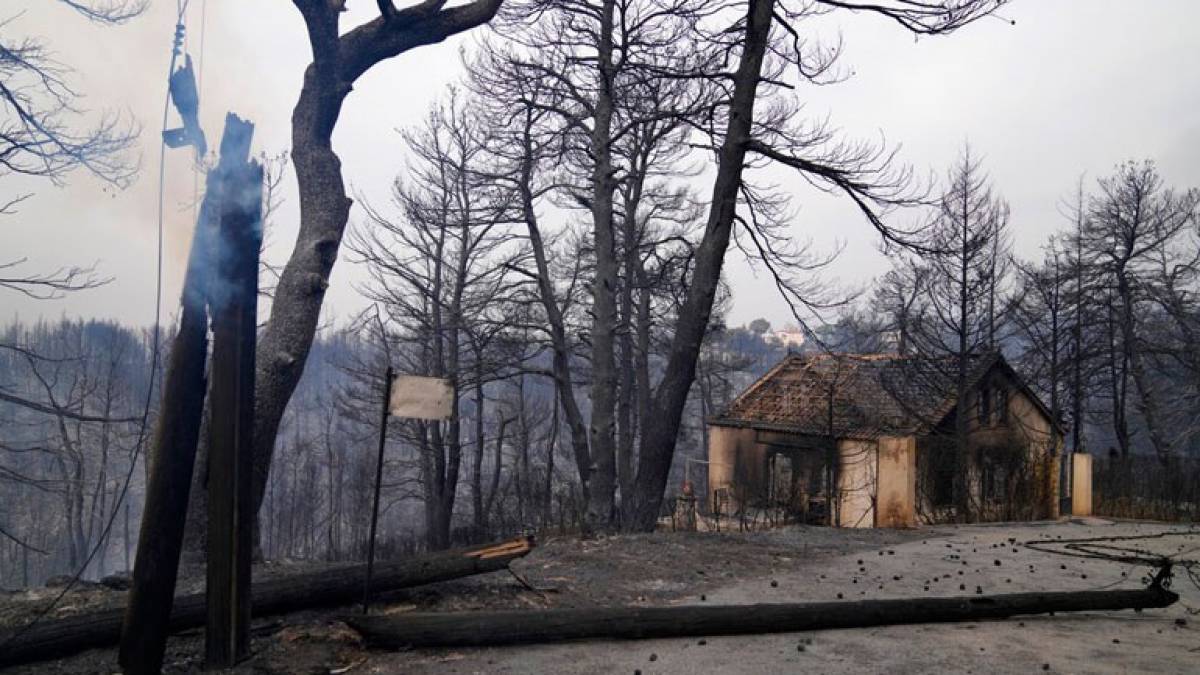 Υπ.Υποδομών:Εντατικοί έλεγχοι στις πυρόπληκτες περιοχές στην Αττική-Αυτοψίες σε 246 κτήρια