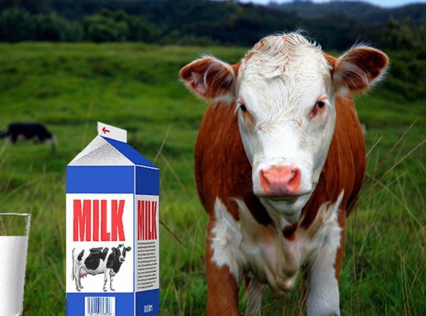 Μαξίμου: Αγώνας δρόμου για να &quot;συμ…πήξει&quot; μέτωπο υπέρ των αλλαγών στο γάλα