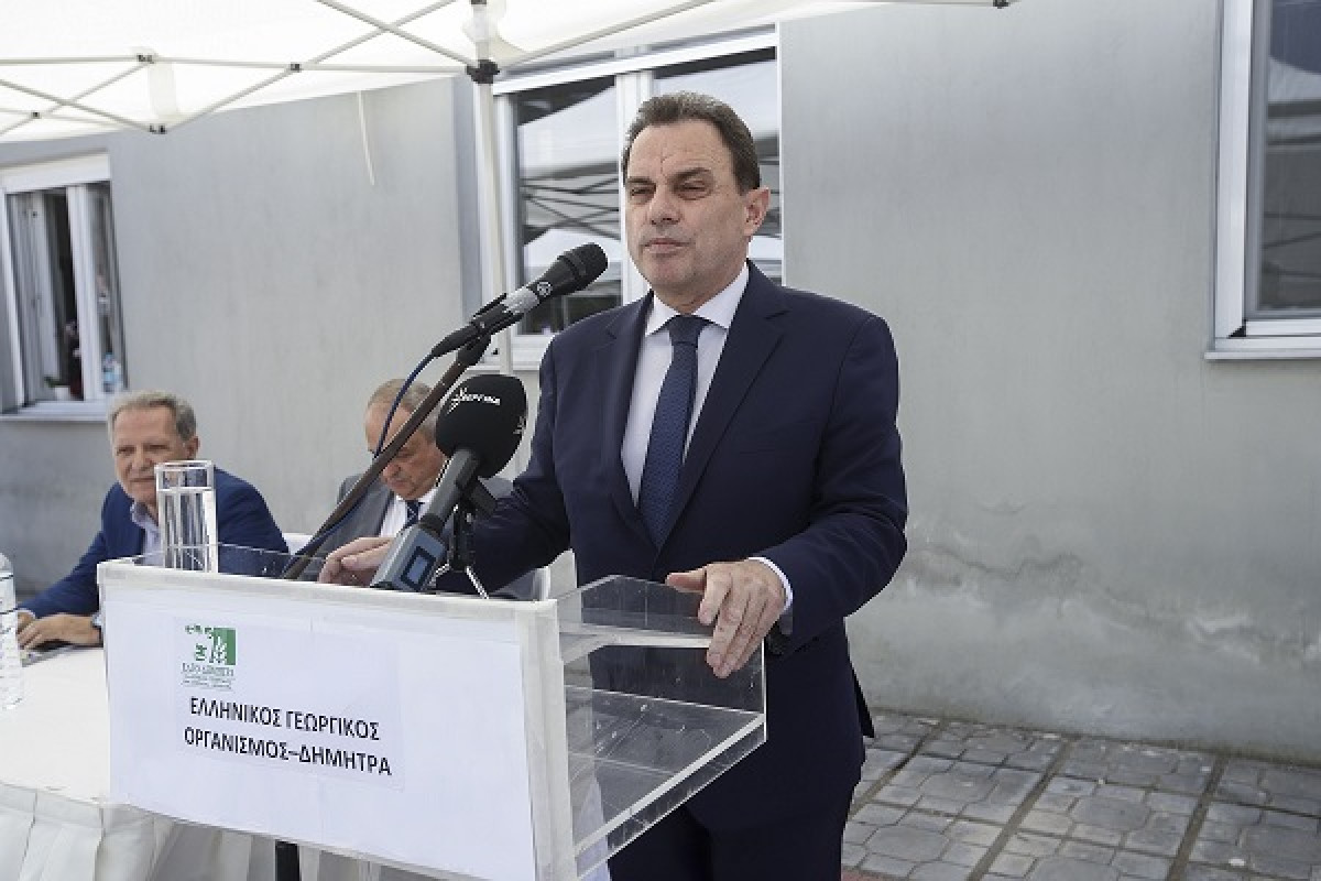 Γεωργαντάς: Στηρίζουμε το εθνικό προϊόν της ελιάς απέναντι στην κλιματική κρίση