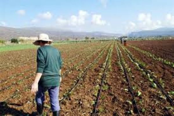 Νέα πληρωμή για την ενιαία ενίσχυση για 38.864 αγρότες