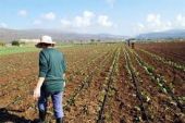 Νέα πληρωμή για την ενιαία ενίσχυση για 38.864 αγρότες