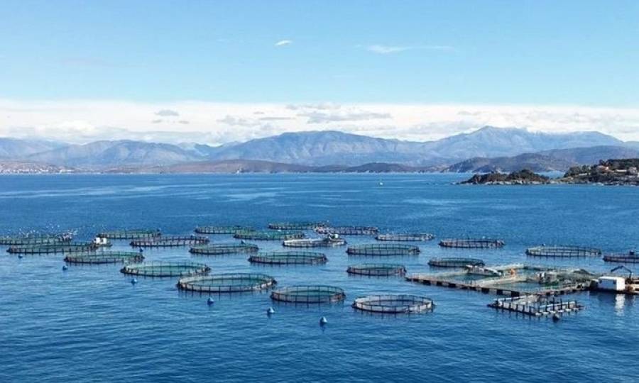 Σελόντα: Προχωρά σε ΑΜΚ 2,08 εκατ. ευρώ