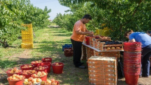 Τι αλλάζει για την Ελλάδα με τη Mercosur – Προστασίες, ρήτρες και γκρίζες ζώνες
