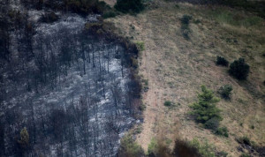 Αυξημένες κατά 50% οι καμένες εκτάσεις στην Ελλάδα (πίνακες)