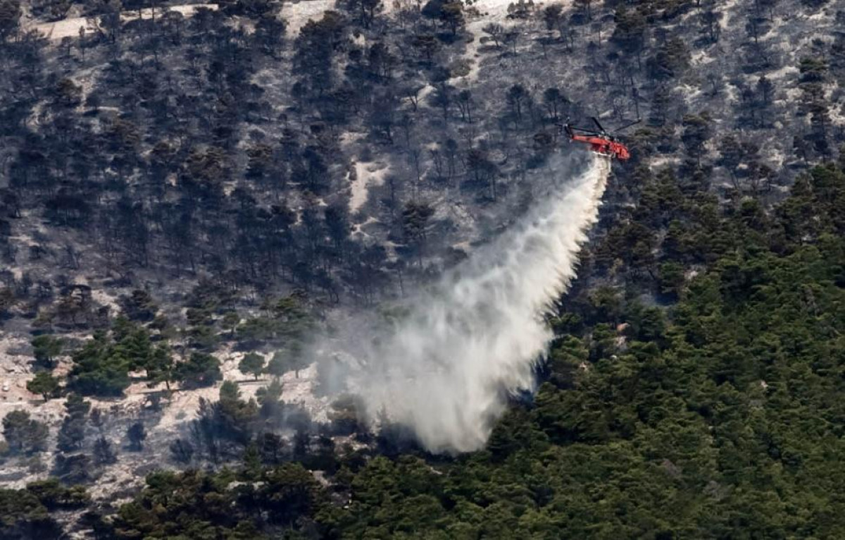 Πάρνηθα: Νέα εστία φωτιάς στον Αυλώνα - Καταγγελίες για απόπειρα εμπρησμού