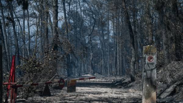 Πυρκαγιές σε Βίλια και Κερατέα: Σχεδόν 100.000 καμένα στρέμματα