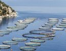 Οι τράπεζες, τα «ψάρια» και οι Τούρκοι