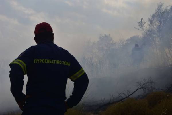 Πύρινα μέτωπα σε Χαλκιδική και Λακωνία