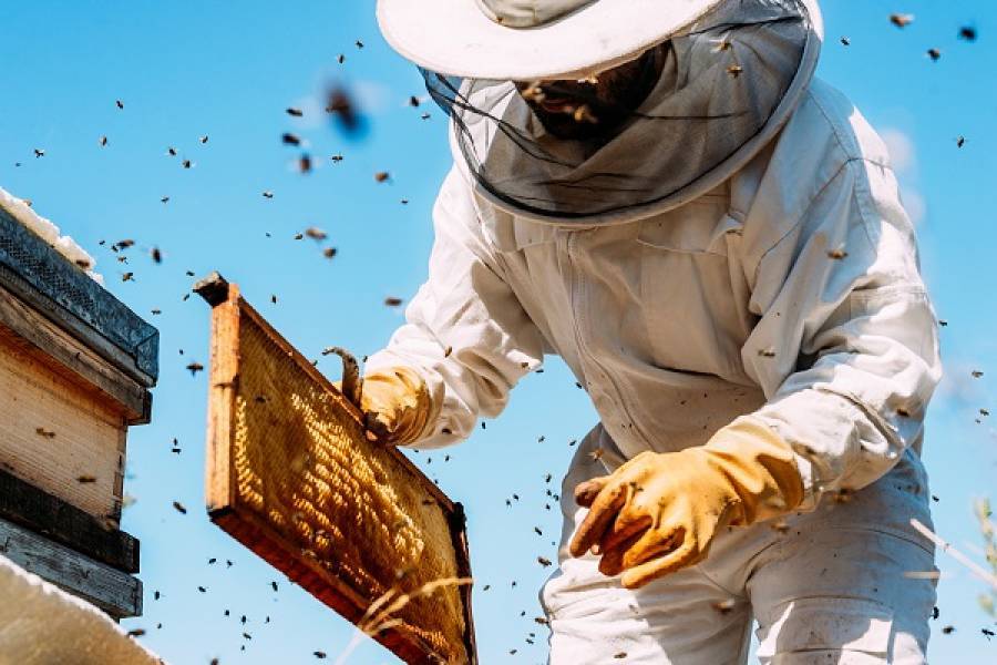 Ο Όμιλος ΗΡΑΚΛΗΣ στηρίζει πάνω από 300 μελισσοκόμους στην Εύβοια